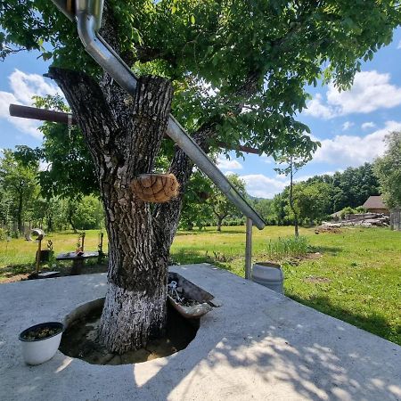 Casa Primitoare In Inima Naturii Si Padurii Rasca  Ngoại thất bức ảnh