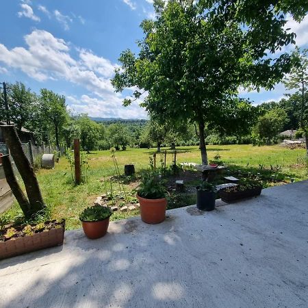 Casa Primitoare In Inima Naturii Si Padurii Rasca  Ngoại thất bức ảnh